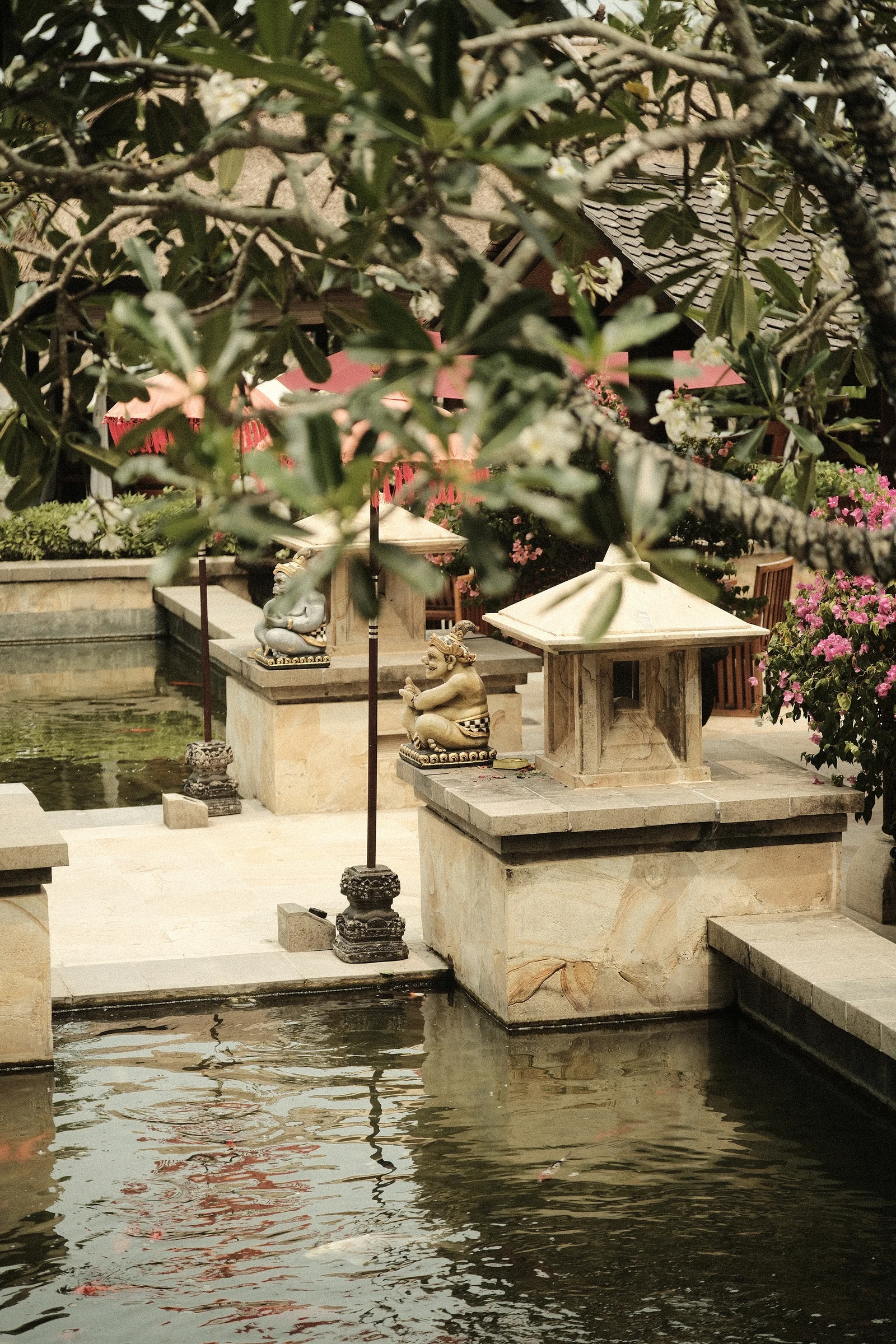 Balinese Bokeh - Photo