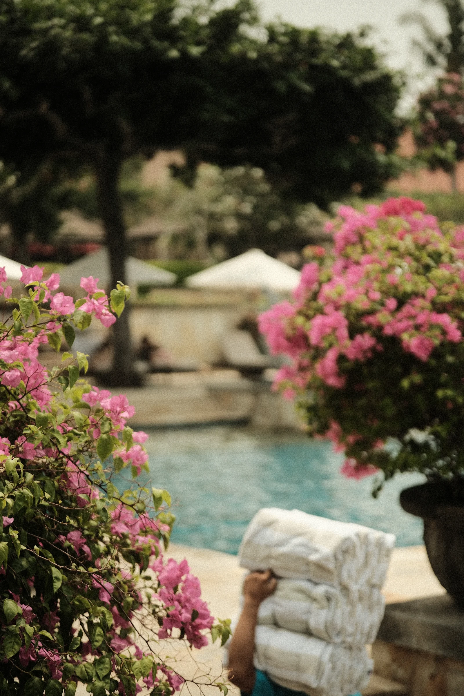 Balinese Bokeh - Photo