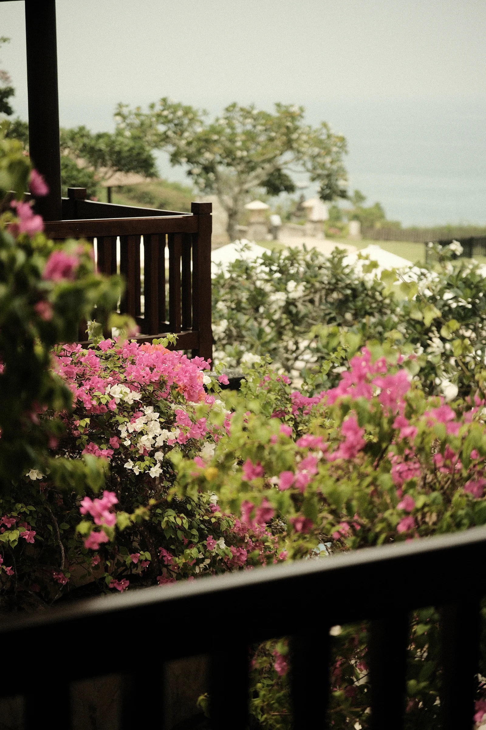 Balinese Bokeh - Photo