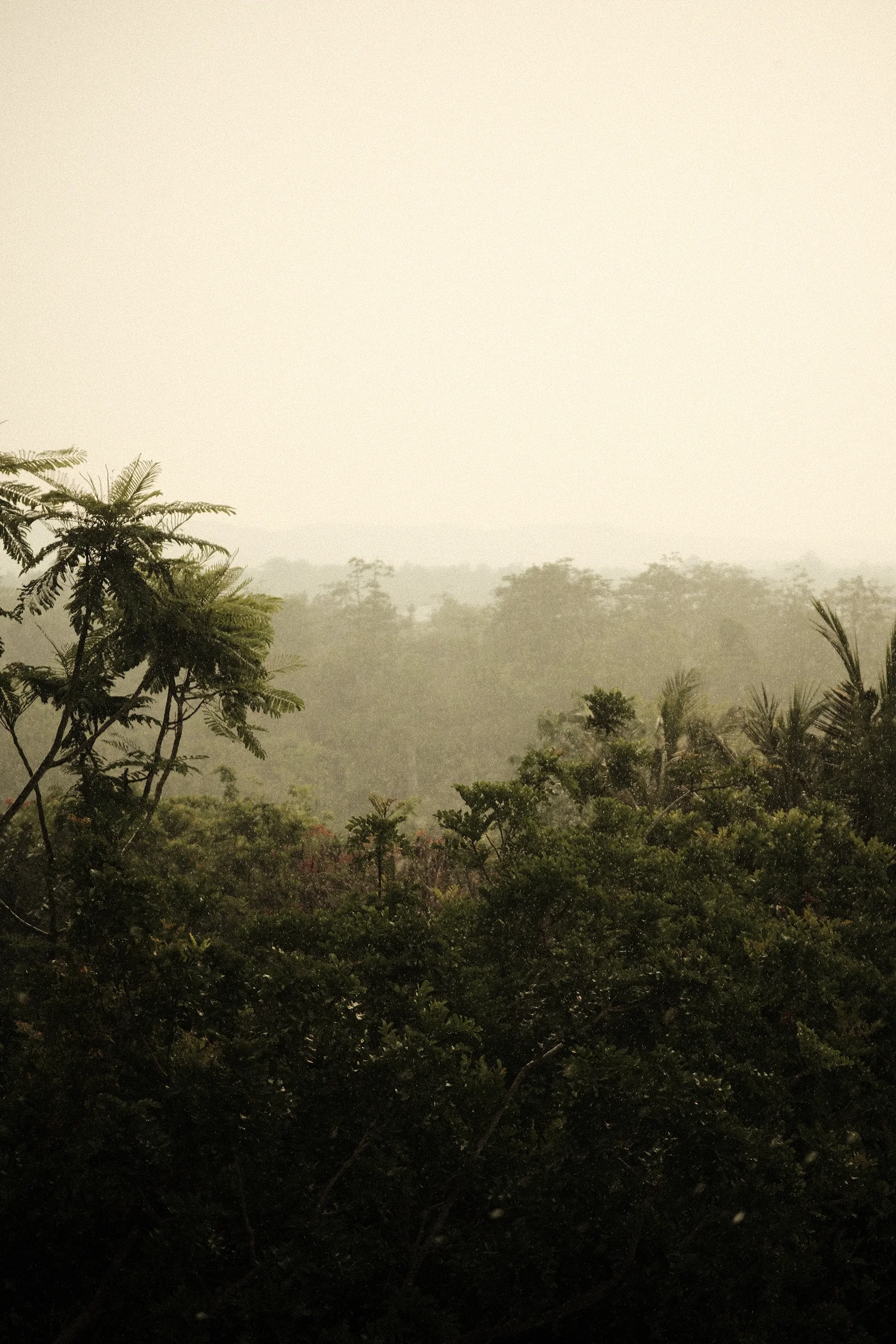 Balinese Bokeh - Photo