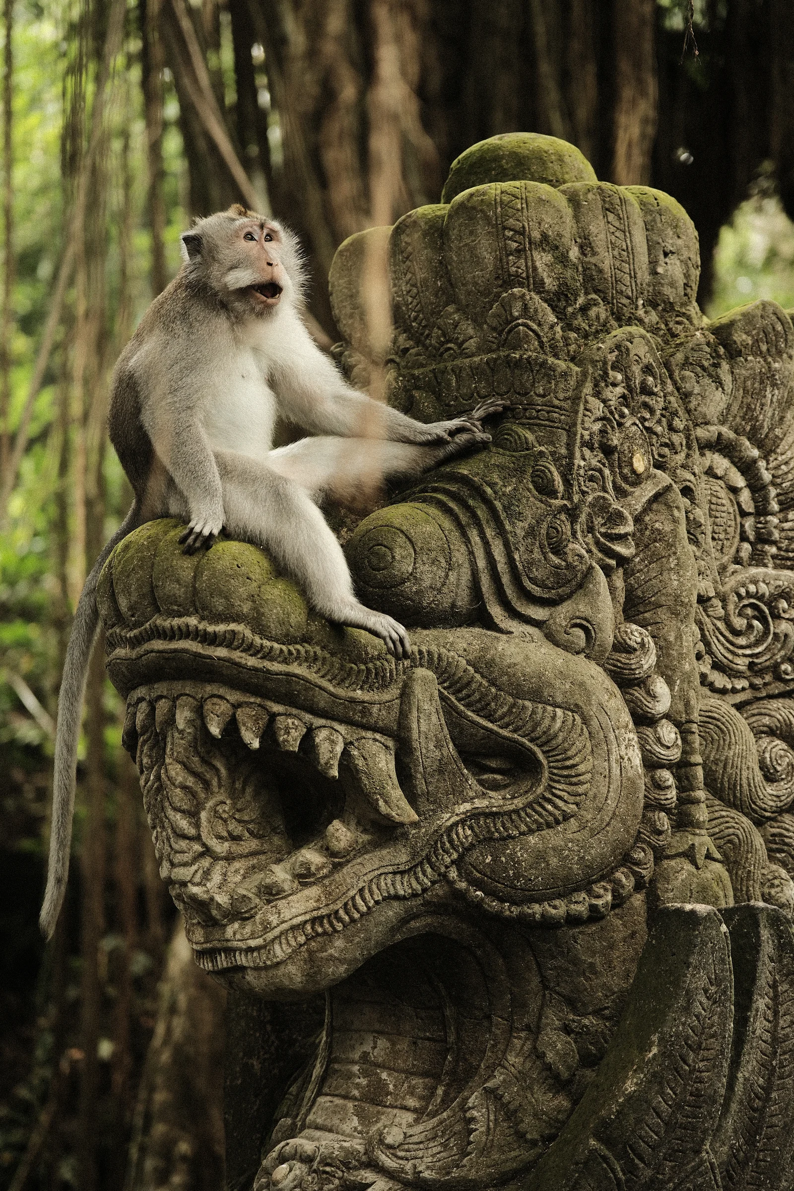 Balinese Bokeh - Photo