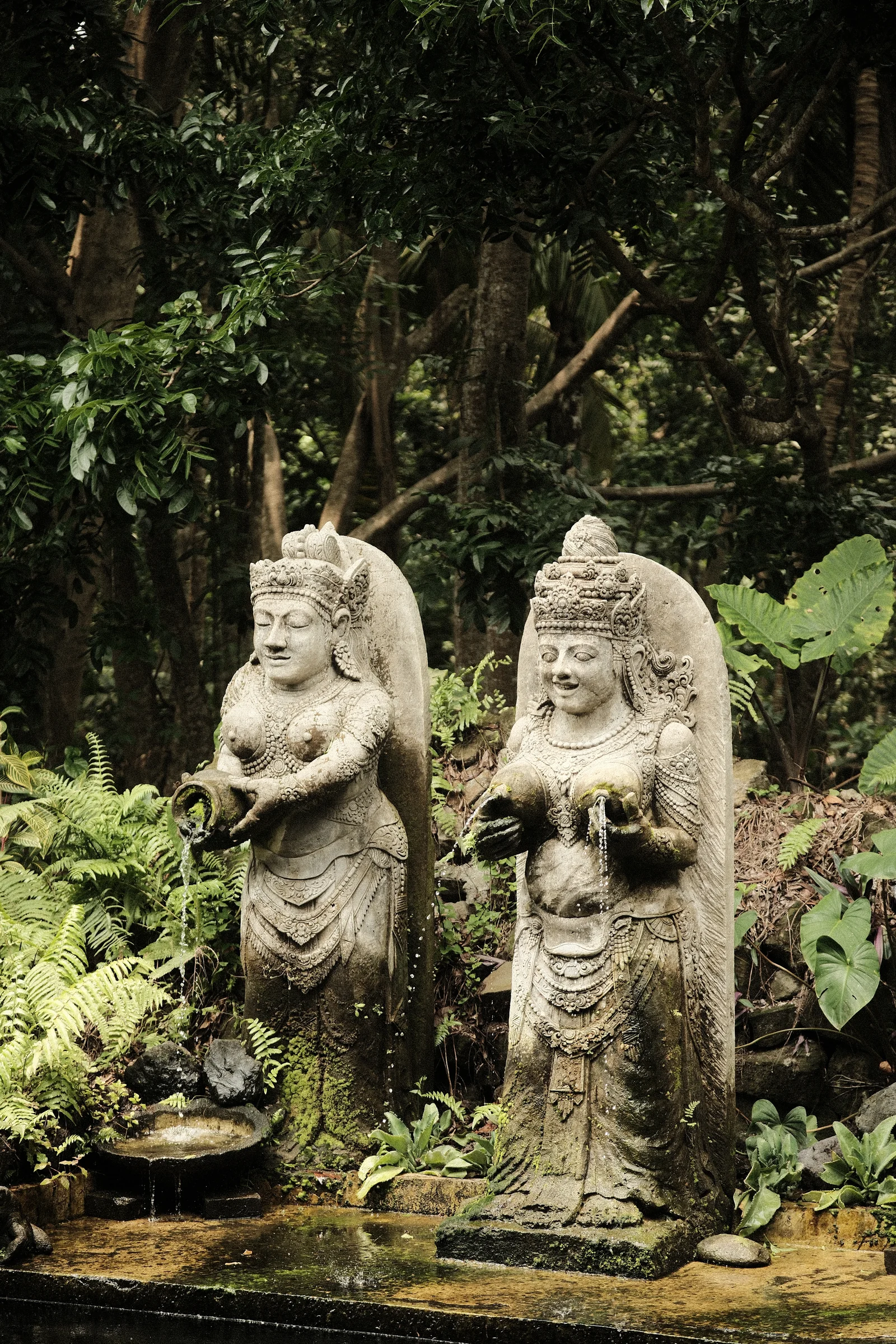 Balinese Bokeh - Photo