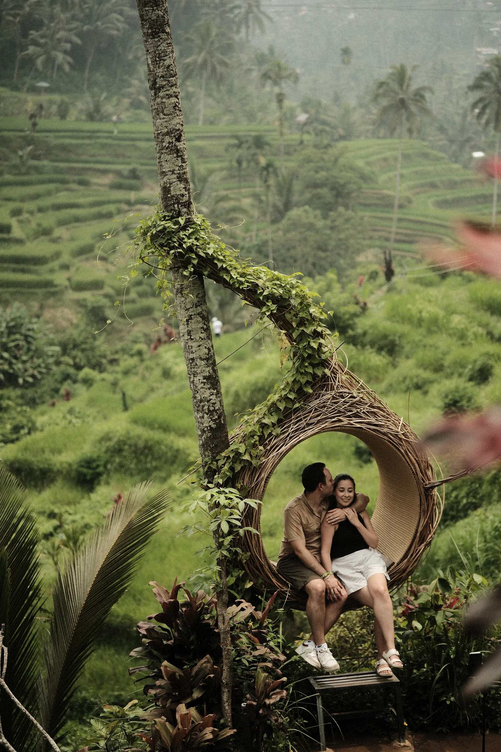 Balinese Bokeh - Photo