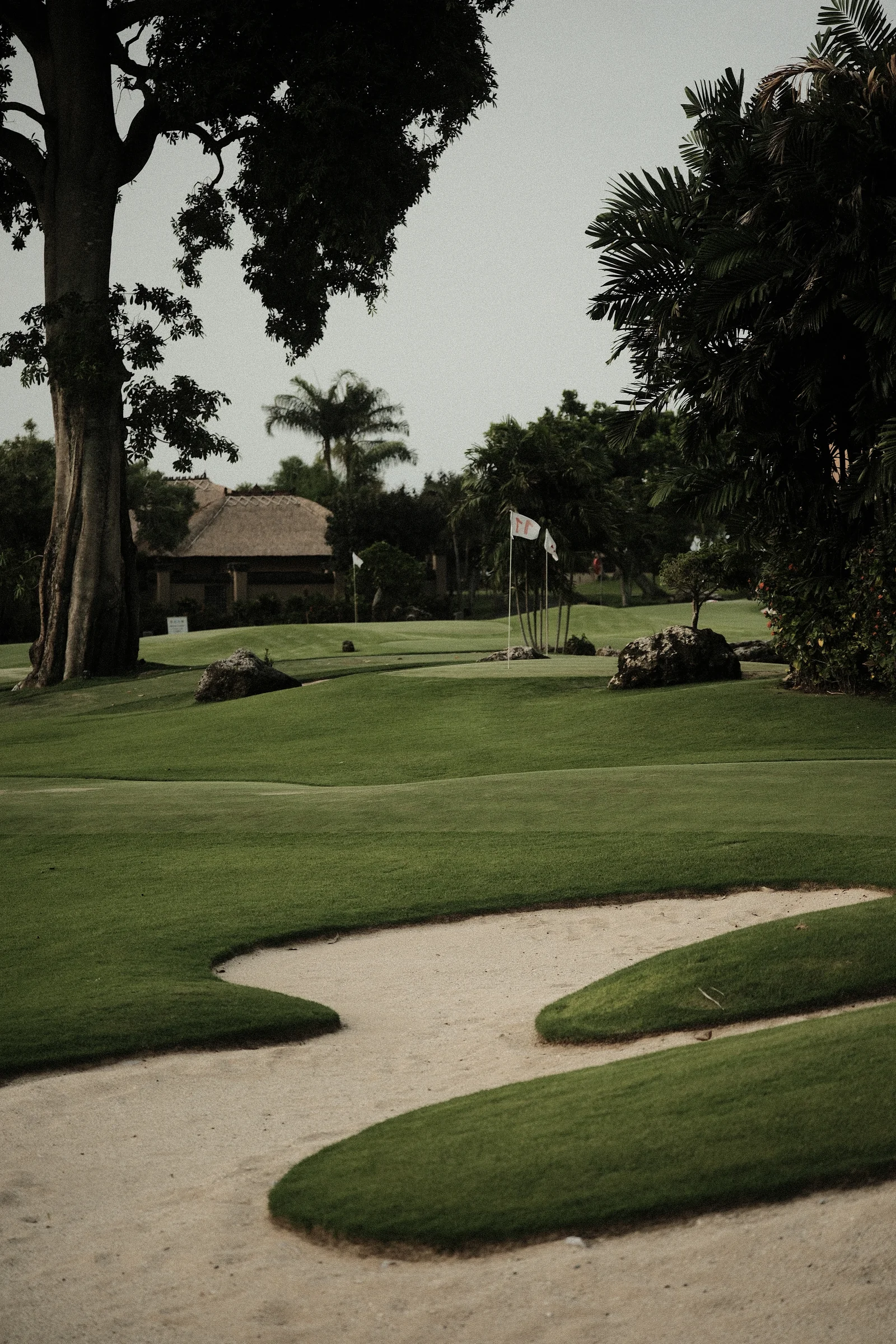 Balinese Bokeh - Photo