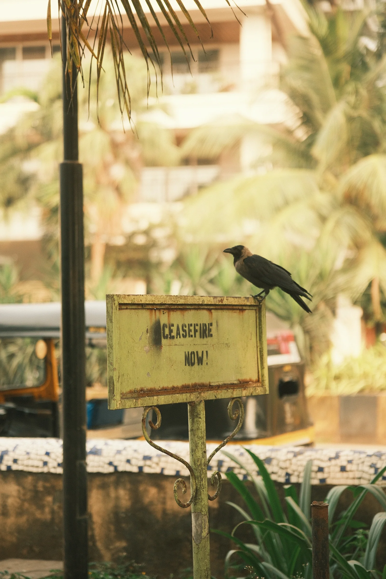 Bollywood Bombay - Photo