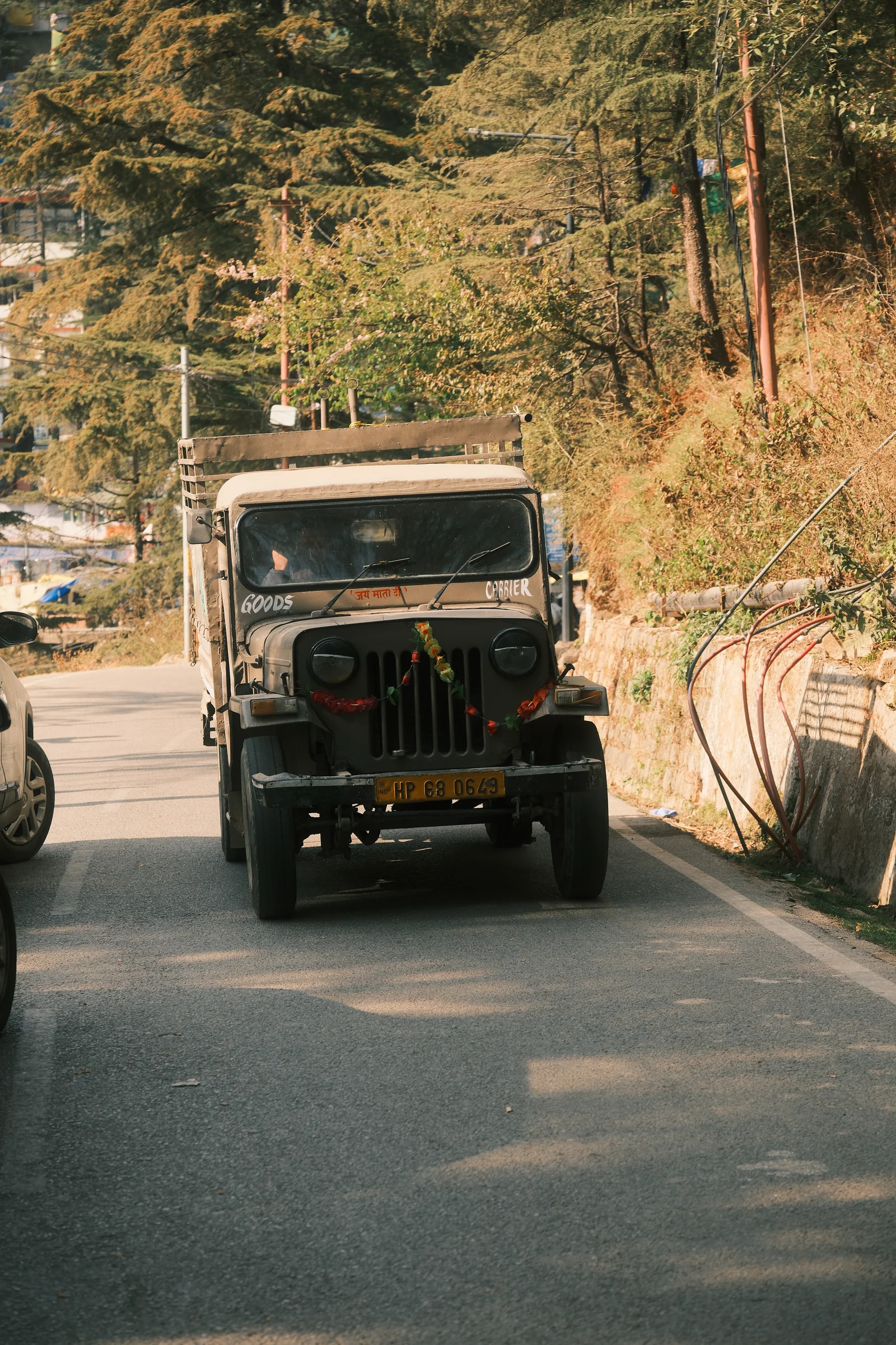 Himalayan Road Trip - Photo