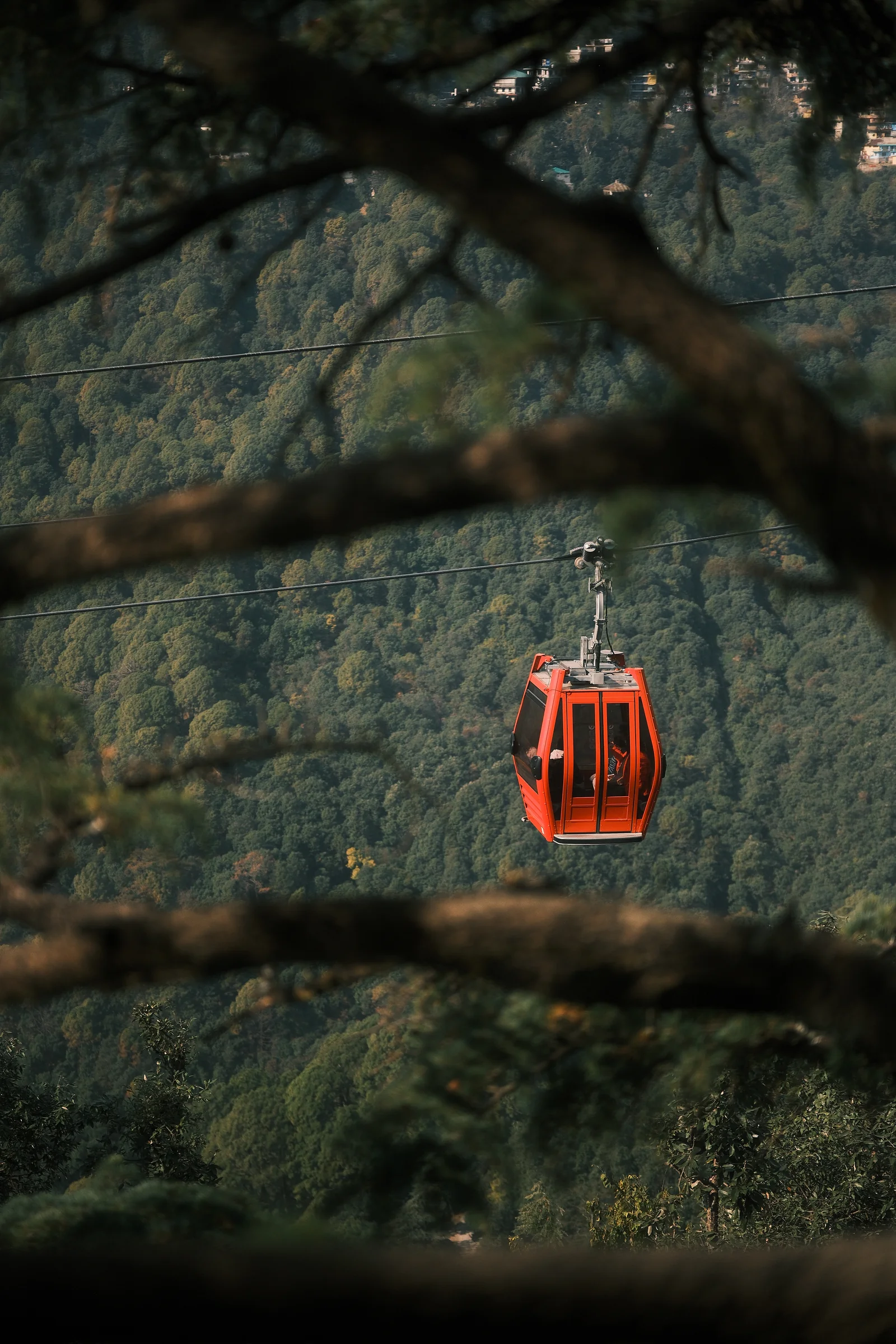 Himalayan Road Trip - Photo