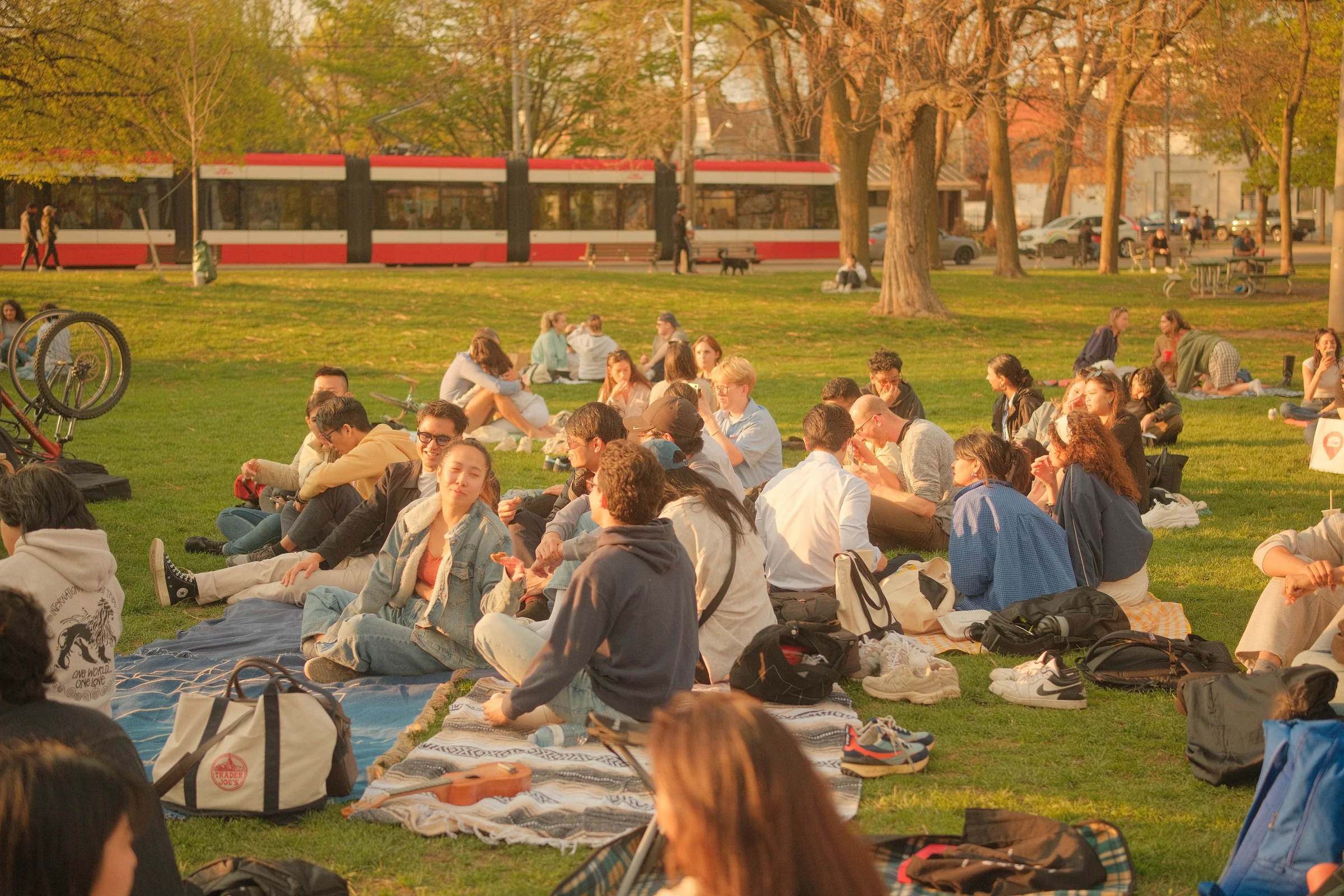 Toronto Spring, 2025 - Photo