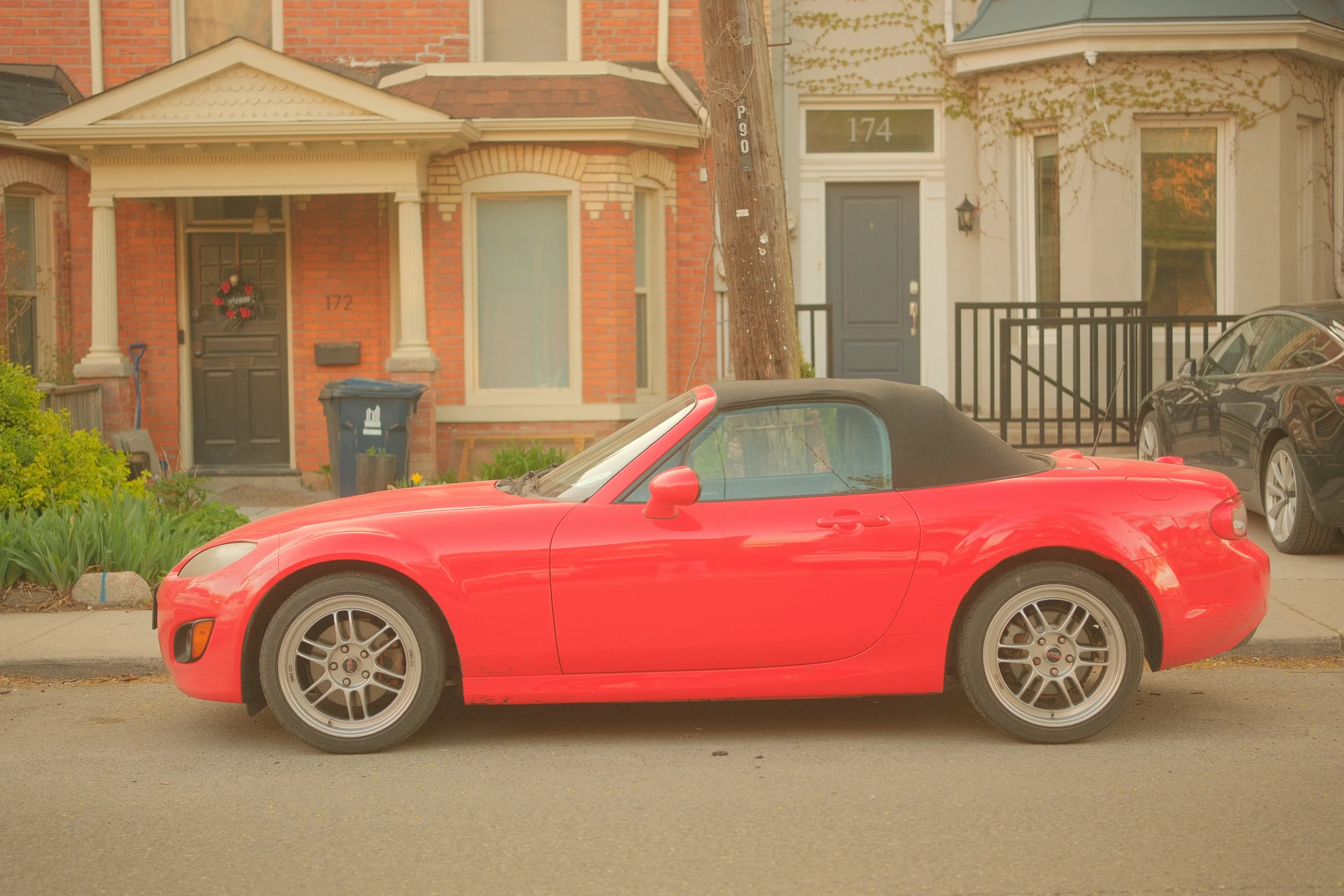 Toronto Spring, 2025 - Photo