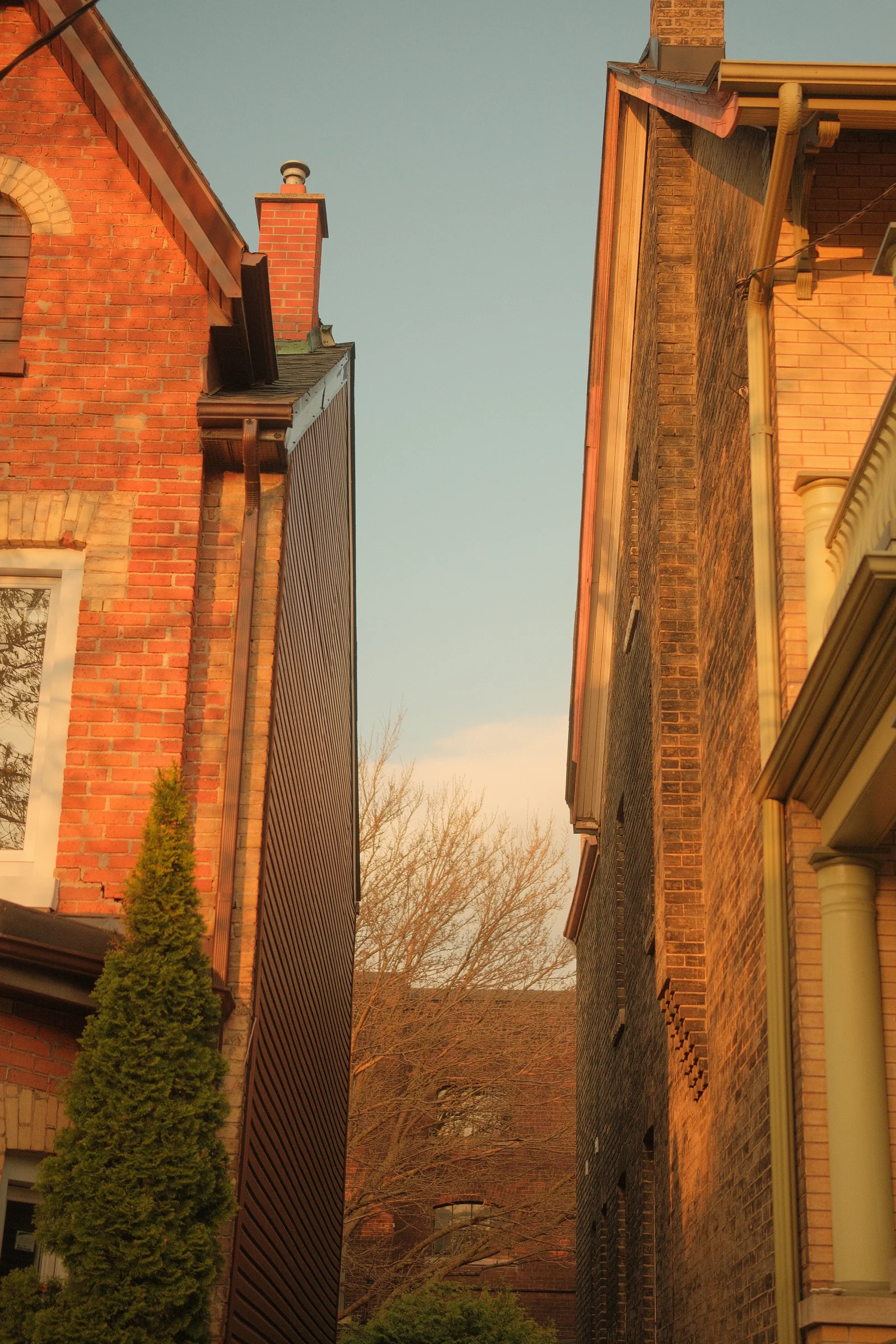 Toronto Spring, 2025 - Photo
