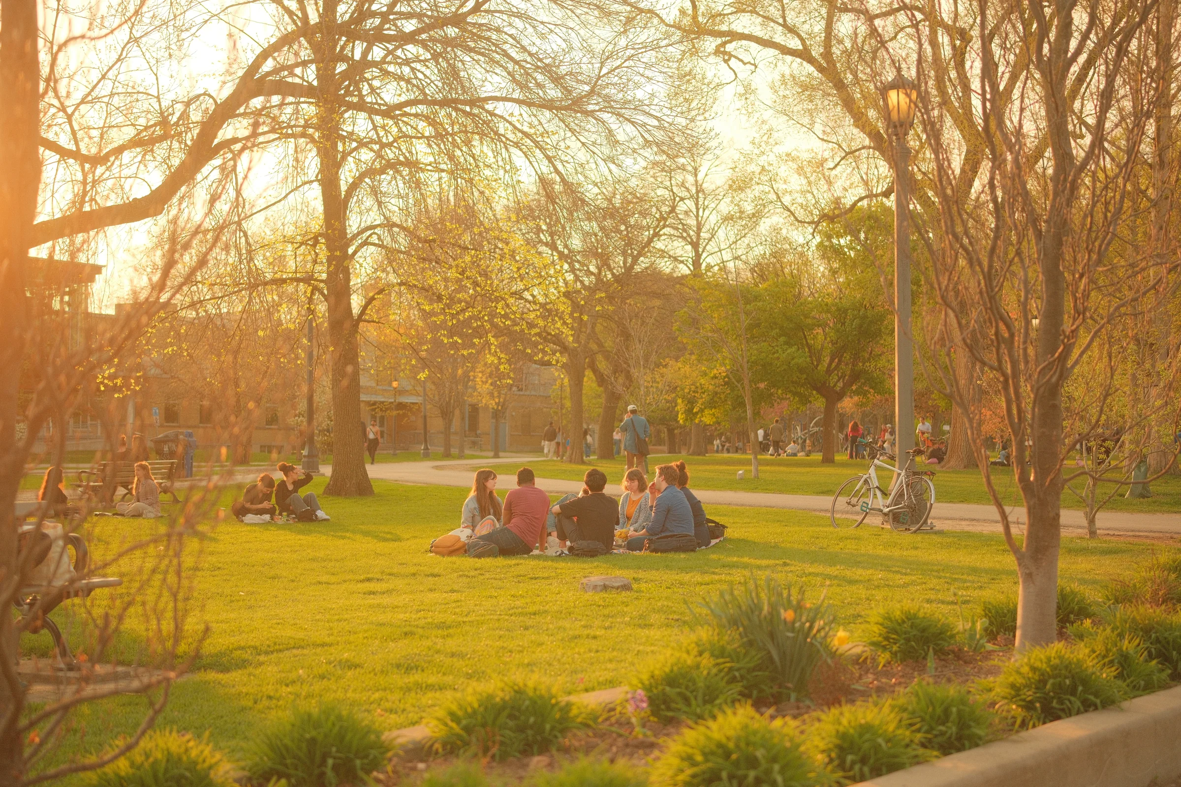 Toronto Spring, 2025 - Photo
