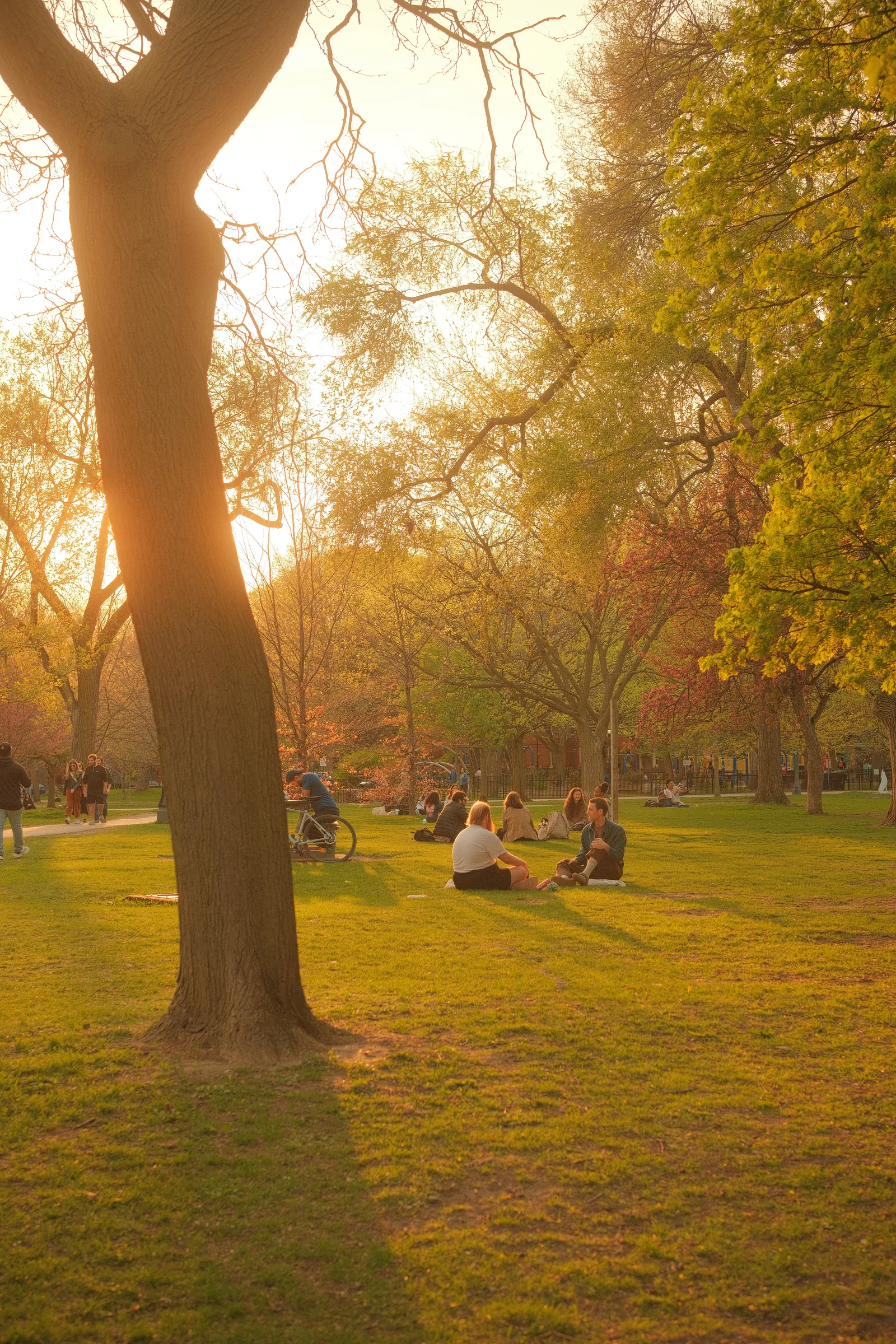 Toronto Spring, 2025 - Photo
