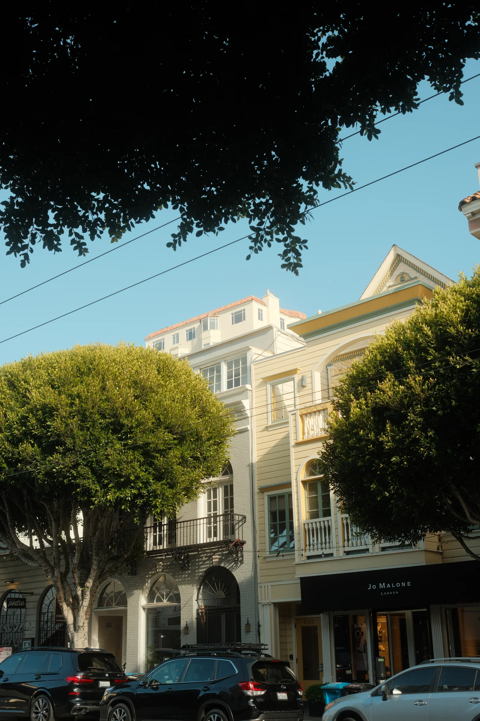 San Francisco Summer, 2025 - Photo