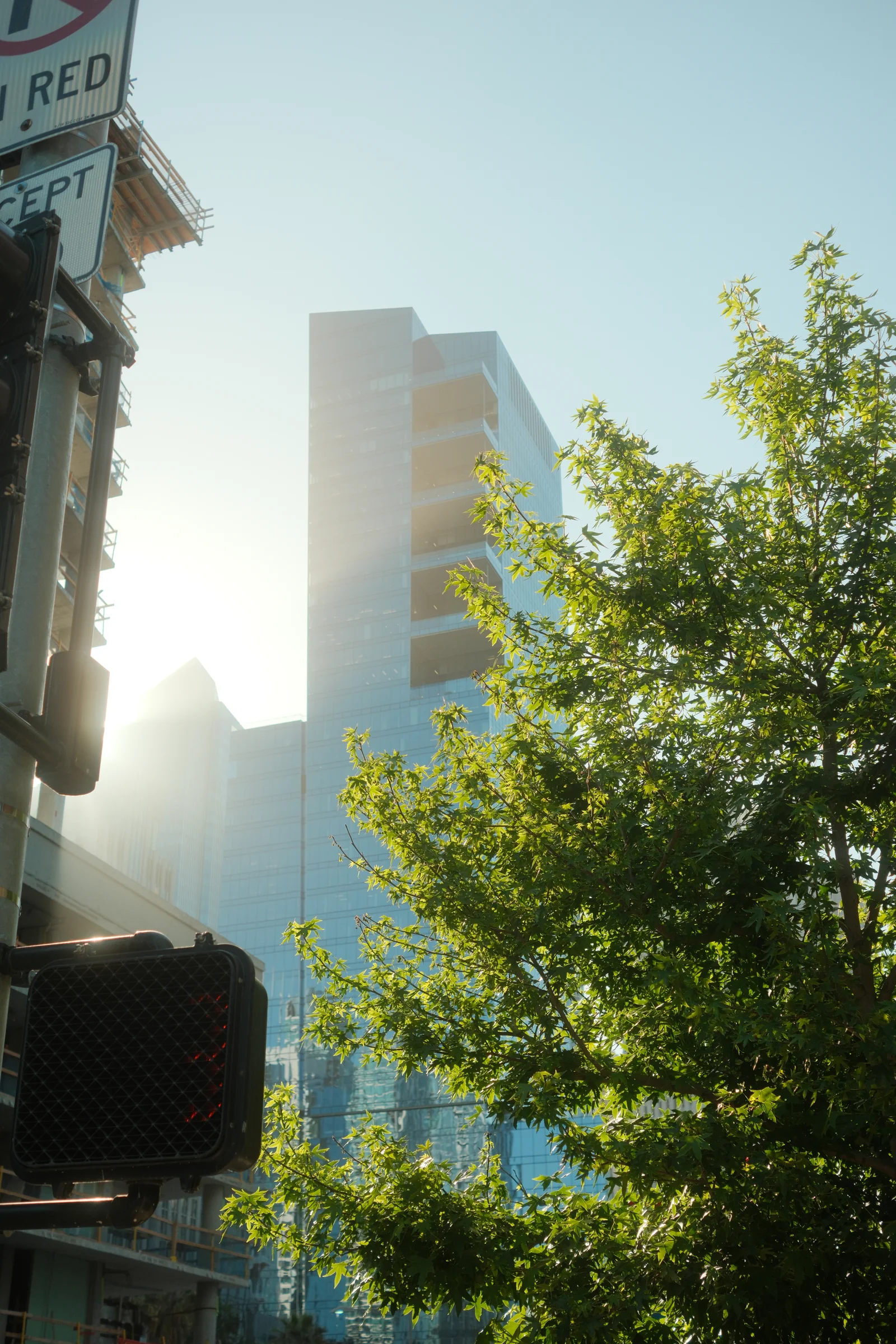 San Francisco Summer, 2025 - Photo