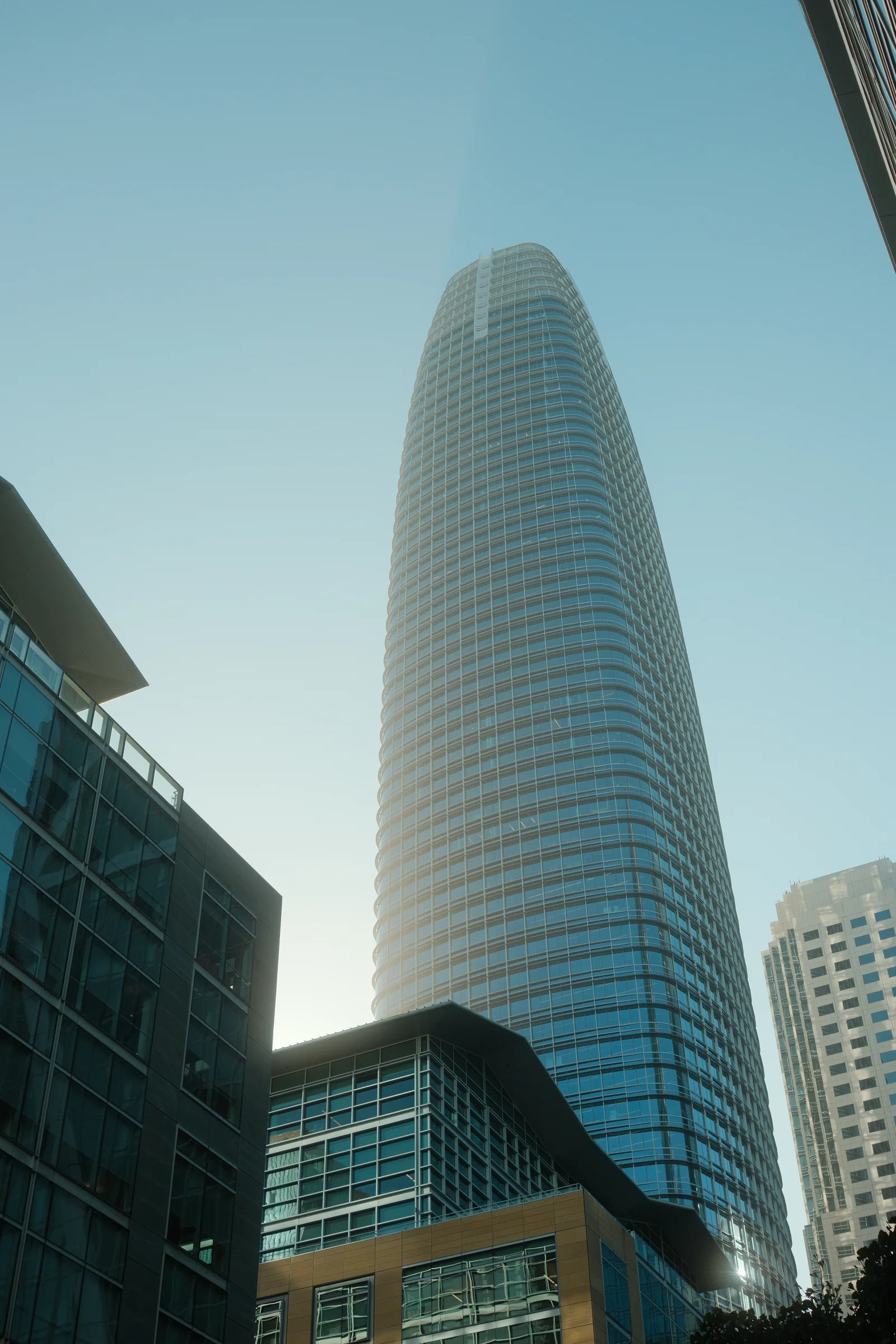 San Francisco Summer, 2025 - Photo