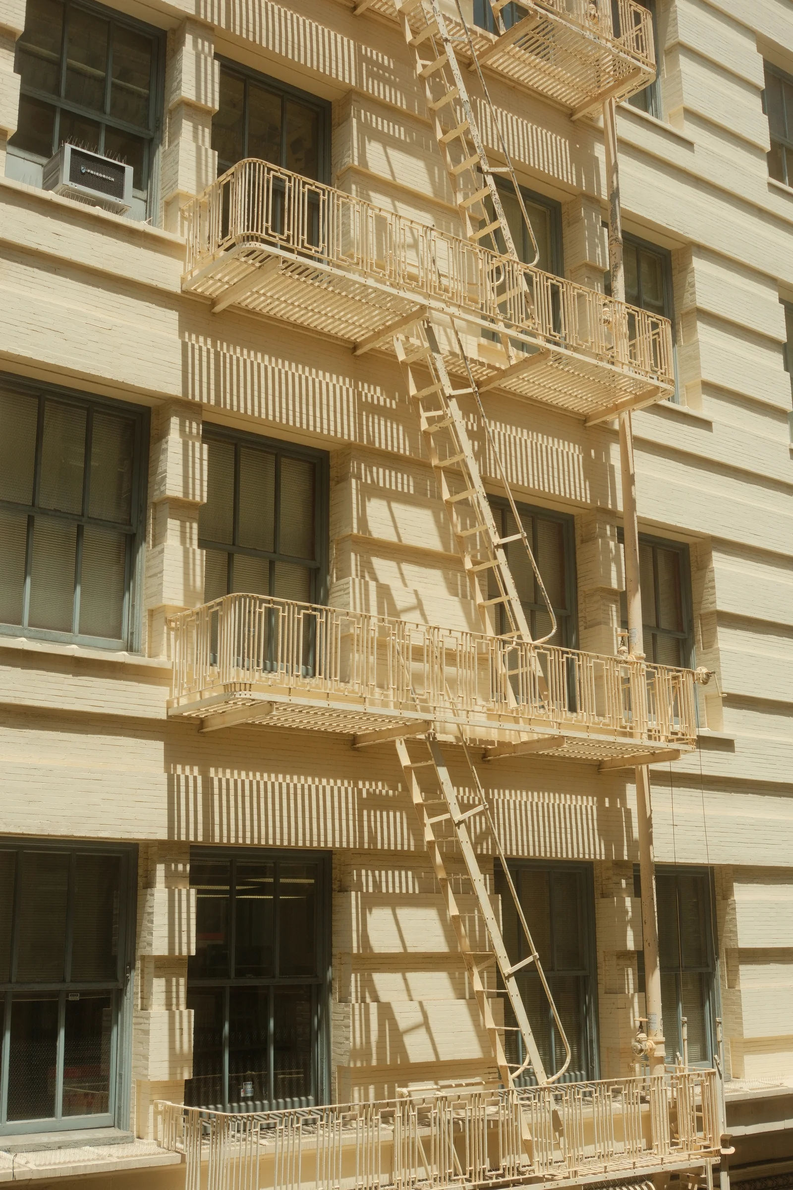 San Francisco Summer, 2025 - Photo
