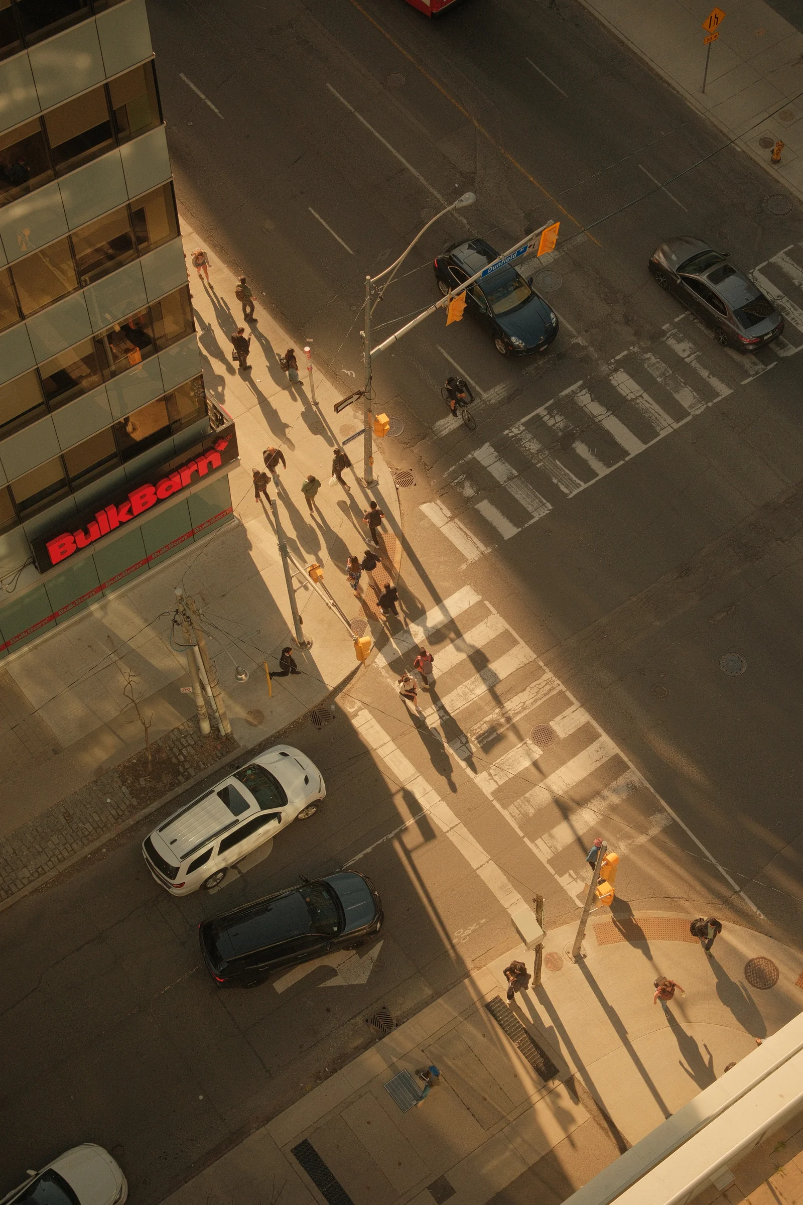 Toronto Spring, 2025